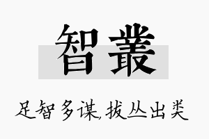 智丛名字的寓意及含义