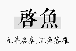 启鱼名字的寓意及含义