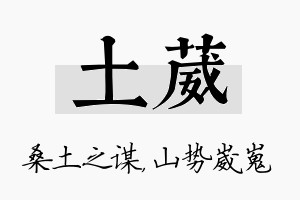 土葳名字的寓意及含义