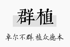 群植名字的寓意及含义