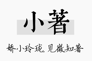 小著名字的寓意及含义