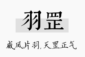 羽罡名字的寓意及含义