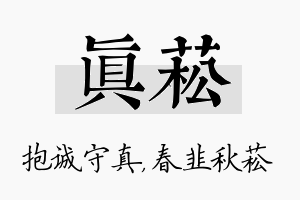 真菘名字的寓意及含义