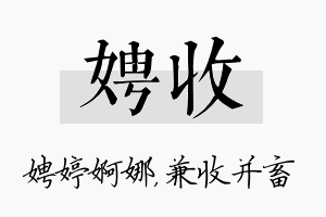 娉收名字的寓意及含义