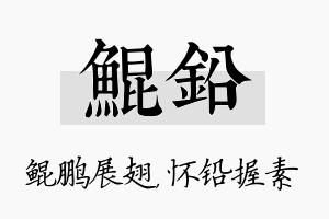 鲲铅名字的寓意及含义