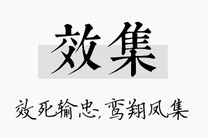 效集名字的寓意及含义