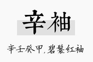 辛袖名字的寓意及含义