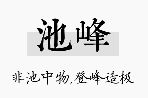 池峰名字的寓意及含义