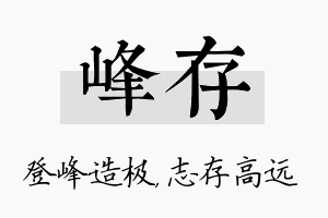 峰存名字的寓意及含义