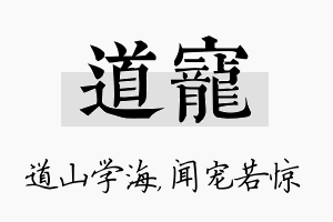 道宠名字的寓意及含义