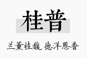 桂普名字的寓意及含义