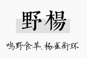 野杨名字的寓意及含义