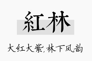 红林名字的寓意及含义