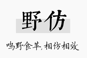 野仿名字的寓意及含义