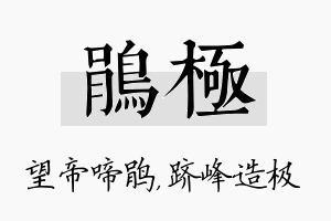 鹃极名字的寓意及含义