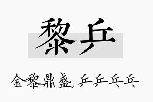 黎乒名字的寓意及含义