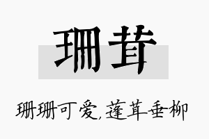 珊茸名字的寓意及含义