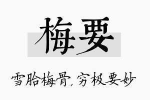 梅要名字的寓意及含义