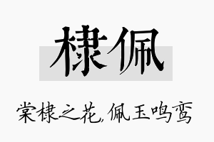 棣佩名字的寓意及含义