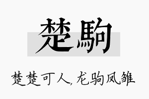 楚驹名字的寓意及含义