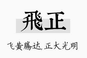 飞正名字的寓意及含义