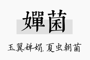 婵菌名字的寓意及含义