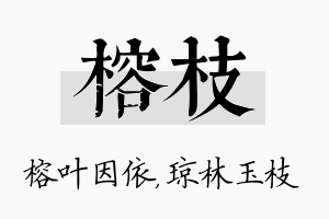 榕枝名字的寓意及含义