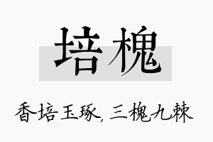 培槐名字的寓意及含义