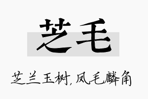 芝毛名字的寓意及含义