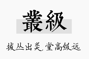 丛级名字的寓意及含义