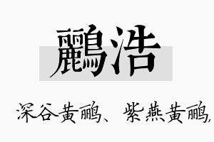 鹂浩名字的寓意及含义