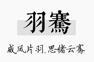 羽骞名字的寓意及含义