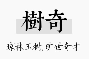 树奇名字的寓意及含义