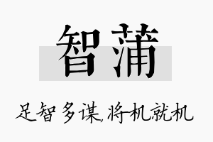 智蒲名字的寓意及含义