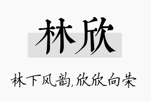 林欣名字的寓意及含义