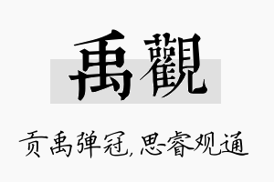 禹观名字的寓意及含义