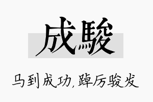 成骏名字的寓意及含义