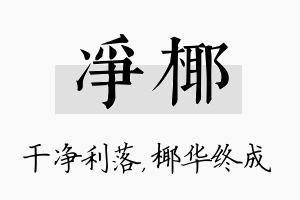 净椰名字的寓意及含义