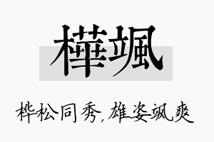 桦飒名字的寓意及含义