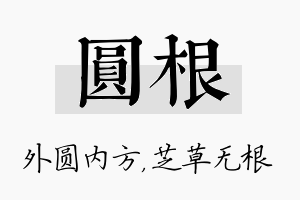 圆根名字的寓意及含义