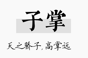 子掌名字的寓意及含义