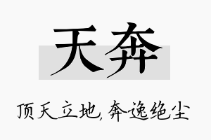 天奔名字的寓意及含义