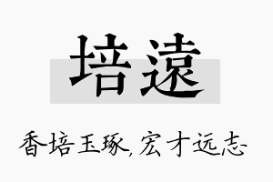 培远名字的寓意及含义