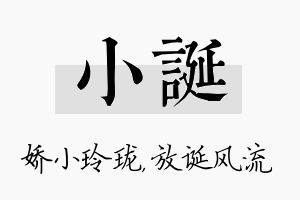 小诞名字的寓意及含义