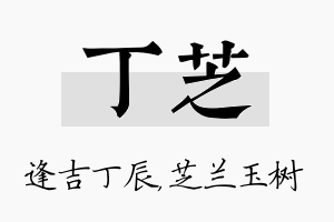 丁芝名字的寓意及含义