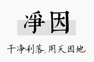 净因名字的寓意及含义