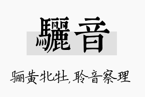 骊音名字的寓意及含义