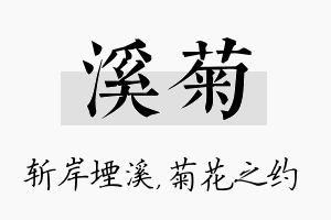 溪菊名字的寓意及含义