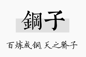 钢子名字的寓意及含义