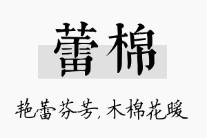 蕾棉名字的寓意及含义